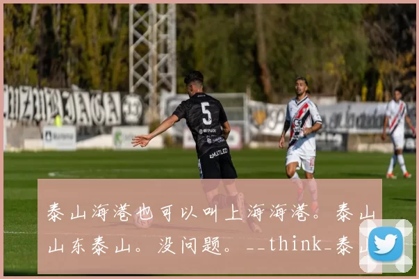 泰山海港也可以叫上海海港。泰山山东泰山。没问题。__think_泰山海港战术博弈：高位逼抢对决控球率